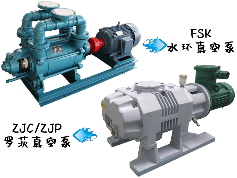 造紙羅茨真空泵和水環(huán)式真空泵的特點(diǎn) 造紙羅茨真空泵和水環(huán)式真空泵的特點(diǎn)